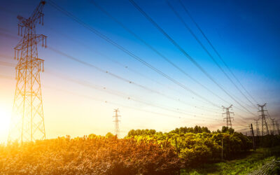 FRENCH POWER: How should French businesses prepare for possible power shortages?